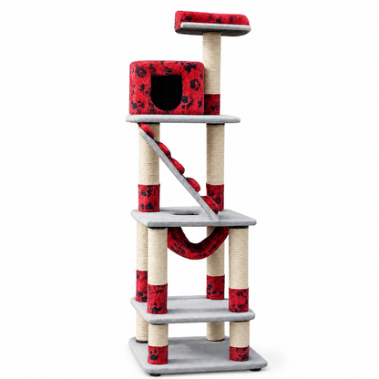 Gimnasio Marvin